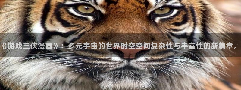 一耽漫网：《游戏三侠漫画》：多元宇宙的世界时空空间复杂性与丰富性的新篇章。