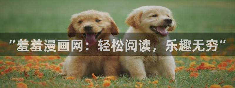 星辰耽漫网：“羞羞漫画网：轻松阅读，乐趣无穷”