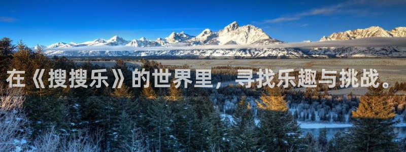 耽漫网：在《搜搜乐》的世界里，寻找乐趣与挑战。